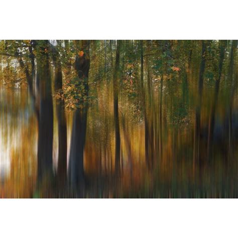Fall Impression 1 Umo Art And Design
