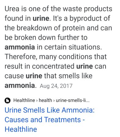 Ammonia smelling like urine! | BabyCenter