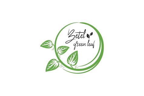 illustration  natural green betel leaf logo design template