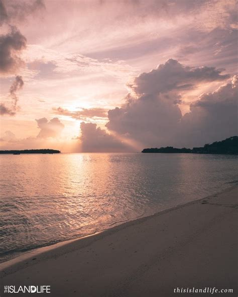 Heidi Klein Snakeskin Print Bikini THIS ISLAND LIFE