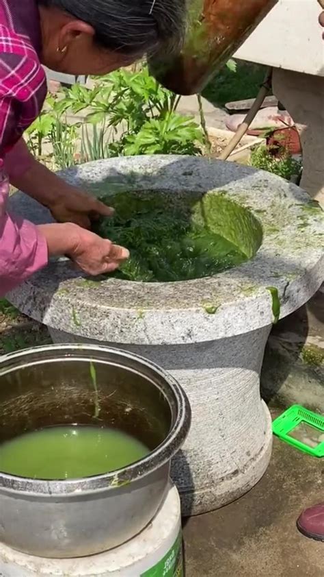 DL Panda Viral Videos On InternetDL Panda Viral - One News Page VIDEO