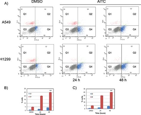 Allyl Isothiocyanate Induces Replication Associated Dna Damage Response