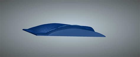 STL File Nude Real Scan Milf Pussy And Ass Real Relief Nf 05 3d Print 3D Print Model To