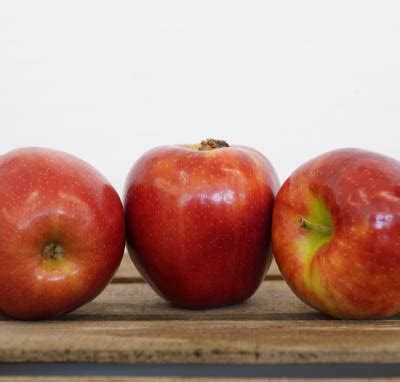 jonagold apples homegrown  citrus tree fresh produce market