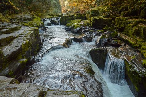 Top Swimming Spots In Oregon Hike Oregon