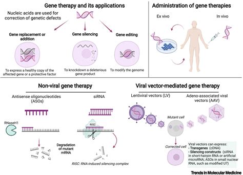Translation of gene therapy strategies for amyotrophic lateral