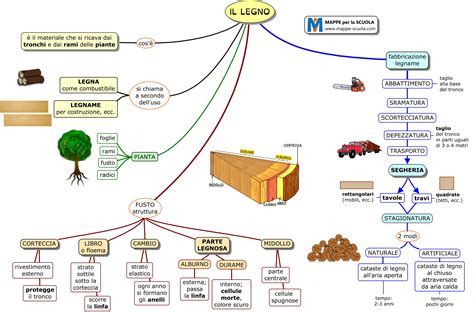 IL LEGNO E LA CARTA Mappa Mentale