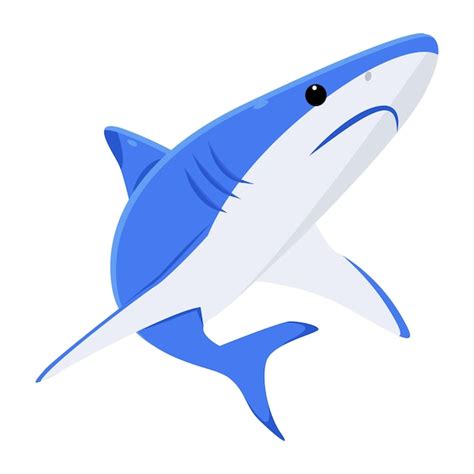 Premium Vector A Shark On A White Background