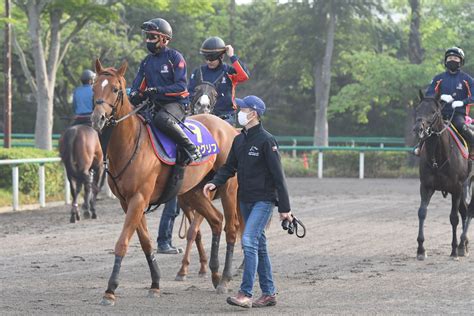 【日本ダービー われかく戦う】皐月賞1、2着馬で挑む木村調教師「責任を果たせるような仕事を」｜競馬ニュース｜競馬予想のウマニティ