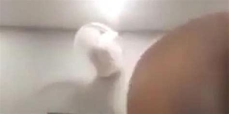 Hot Onlyfans Model 3TB Folder Below Tnaflix