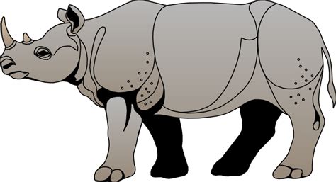 rhinoceros clipart