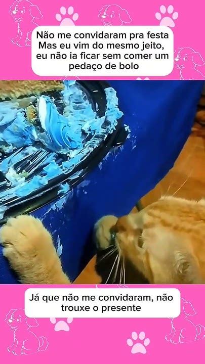 Nao Me Convidaram Pra Essa Festa - Não me convidaram pra festa #animaisengracados #pets #gatos #humor # ...
