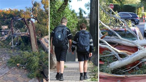 Adelaides Wild Winds Leave Thousands Without Power Schools Closed