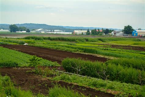 Municipal Capacity Greenbelt Foundation