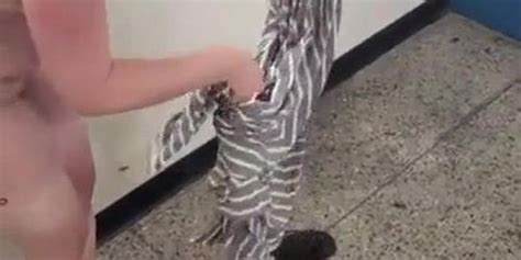 Chubby Wife Dared To Strip Naked And Walk In Public Tnaflix