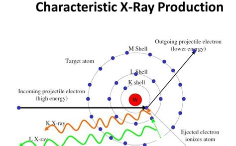 X Ray Schematic Diagram