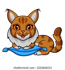 Cute Maine Coon Cat Cartoon On Stock Vector Royalty Free