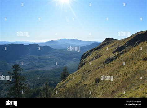 Spectacular Views From The Saddle Mountain Trail Oregon Usa Stock