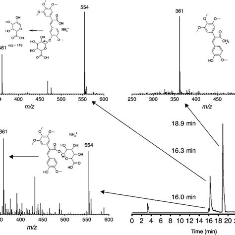 Extracted Ion Chromatogram Mz 361 And Esi Mass Spectra Of Ni 12a