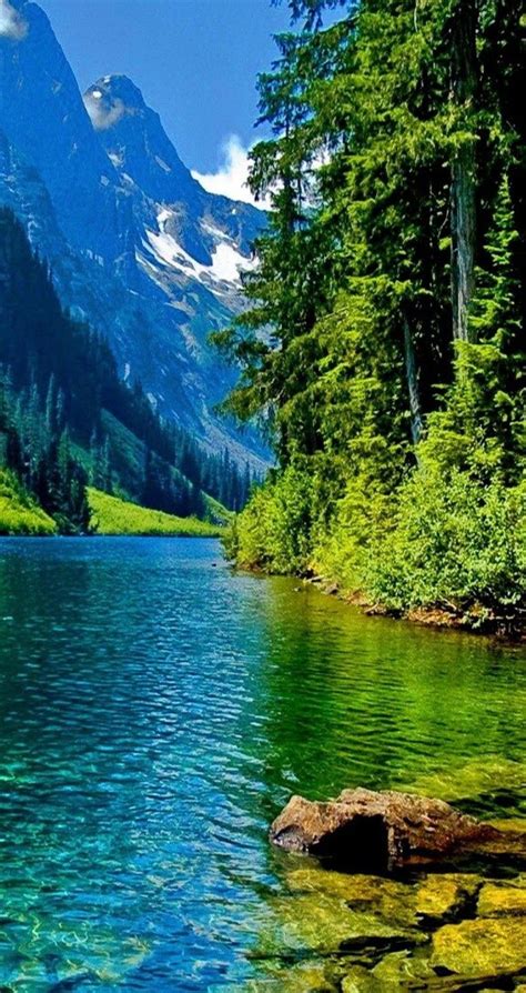 hp nature wallpapers  hd backgrounds  wallpaperbat