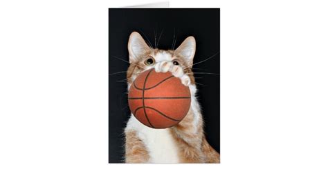 Cat basketball card | Zazzle.com