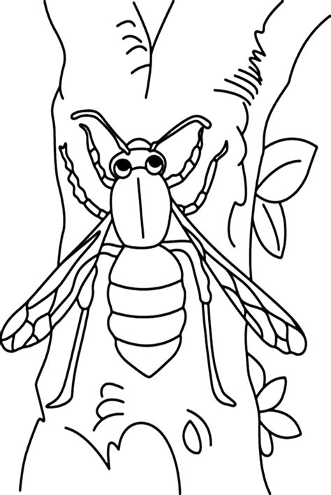Wasp Coloring Sheet Free Printable Coloring Pages