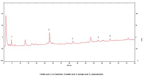 Sample Hplc Chromatogram Of The Kalecik Karası Wine From Central