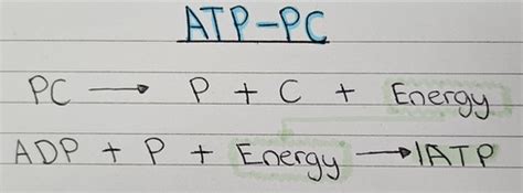 Energy Systems Flashcards | Quizlet