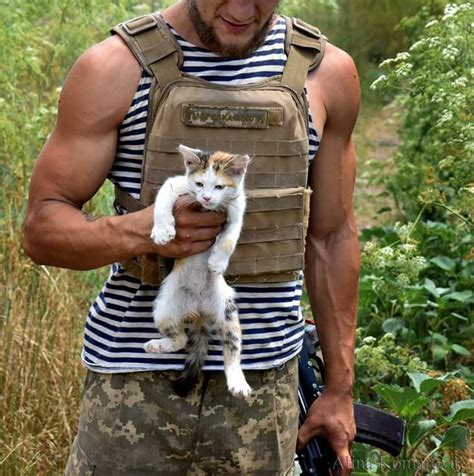 Бойові котики: фотодобірка пухнастиків, які підтримують військових на ...