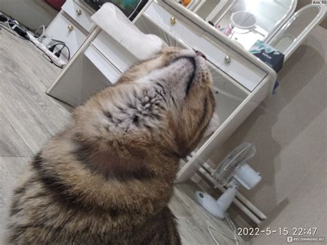 Ошейник против блох и клещей RolfClub РольфКлуб 3d для кошек / котят ...