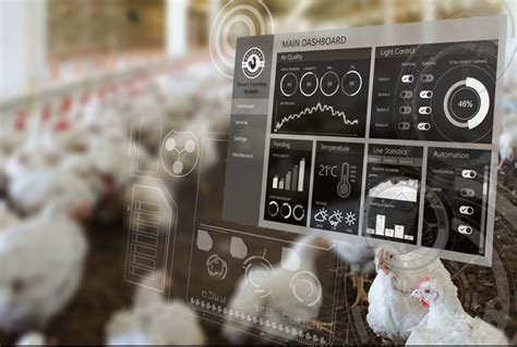 Flocking To Digital The Future Of Poultry Technologies The Poultry Site