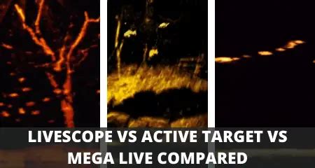 LiveScope vs Active Target vs MEGA Live (Which Is Best?)