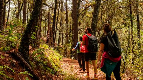 Esc Pate A La Sierra Norte El Sitio Ideal Para El Ecoturismo