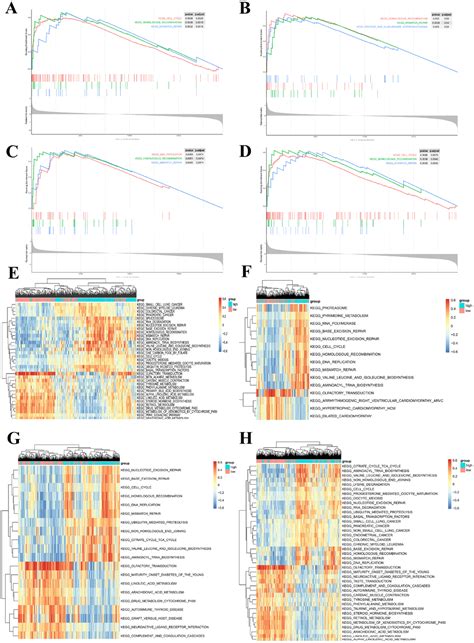 Identification Of Hub Genes In Prostate Cancer Using Robust Rank