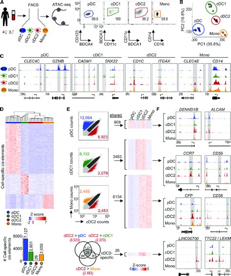 Analysis Workflow Of Primary Human Dc Chromatin Accessibility Profiles