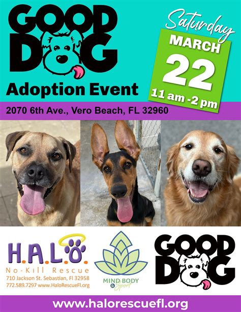 HALO No-Kill Rescue Shelter | Sebastian FL