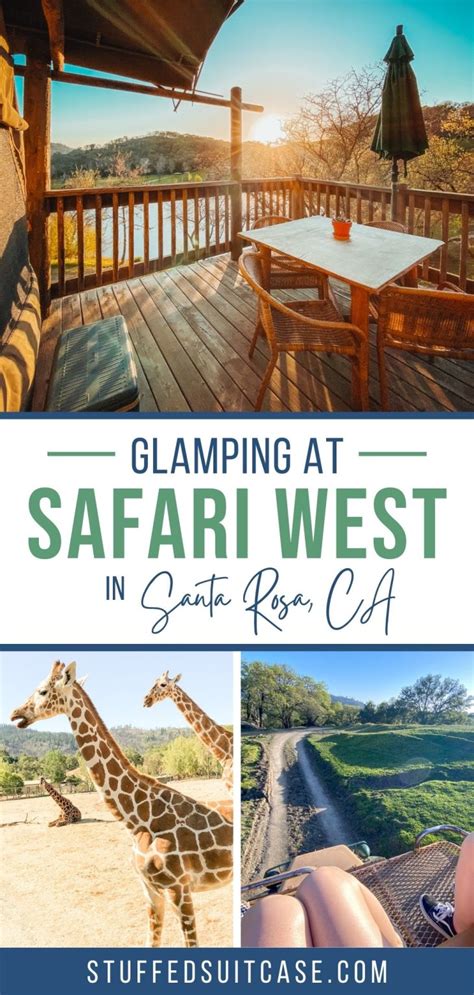 What Its Really Like To Stay At Safari West In Santa Rosa