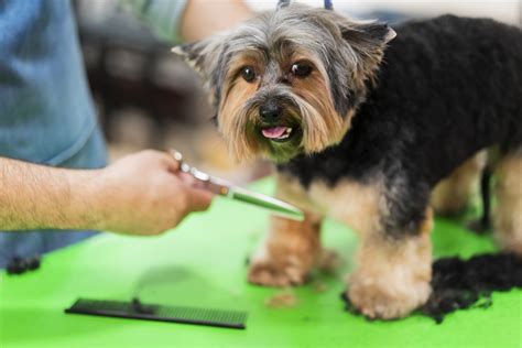 Alibitivi – Have a glance at different fields