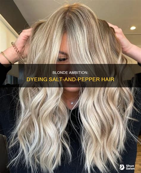 Blonde Ambition Dyeing Salt And Pepper Hair ShunSalon