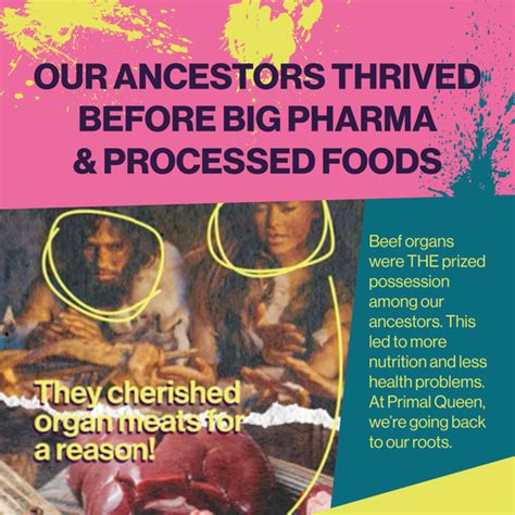 Primal Queen - Female Focused Beef Organ Superfoods