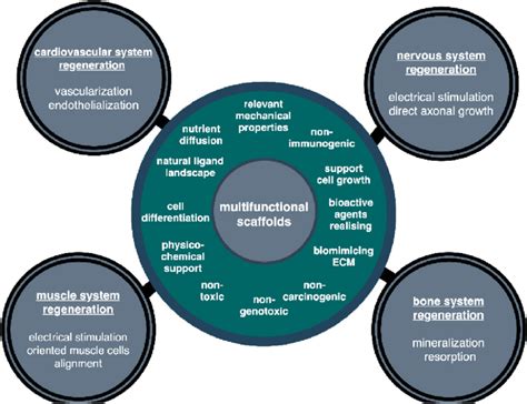 multifunctional bioscaffolds requirements    usage