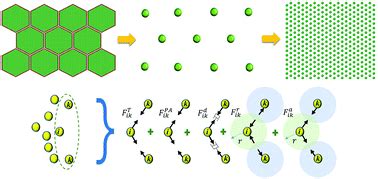 A coarse-grained multiscale model to simulate morphological changes of ...