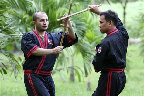 Types Of Martial Arts From Around The World Facts Net