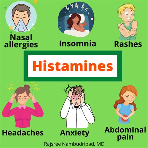 Histamines Symptoms Foods And Relief • Oc Integrative Medicine