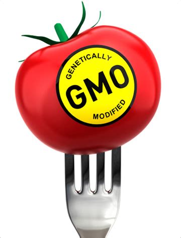 Will food with GMOs get special labels?