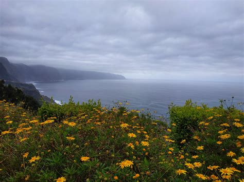 PONTA DELGADA, MADEIRA - Home | Facebook