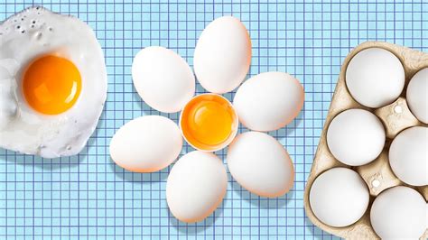 surprising facts  eggs