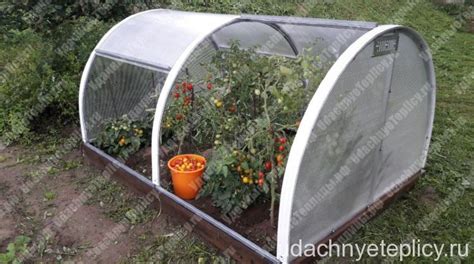 Купить сборную мини-теплицу "GreenHouse" в коробке