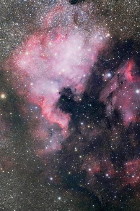 North America Nebula : r/astrophotography