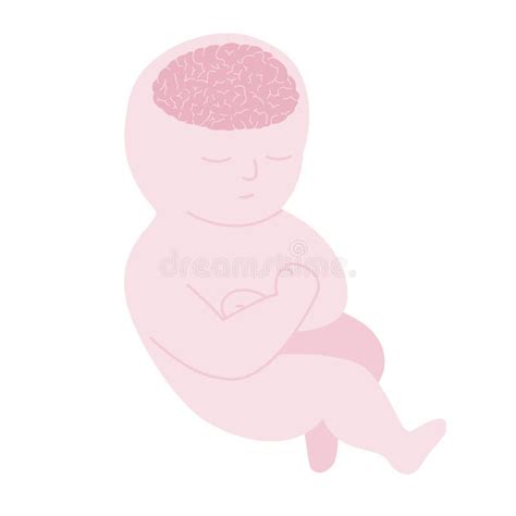 Isolated Sleeping Brain Stock Illustrations 271 Isolated Sleeping